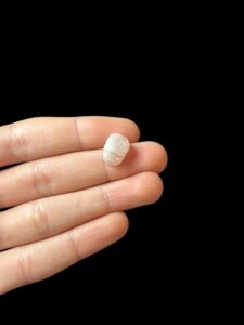 Egyptian Scarab pendant necklace, The decorative Good luck scarab in Ancient Egypt. - Image 1