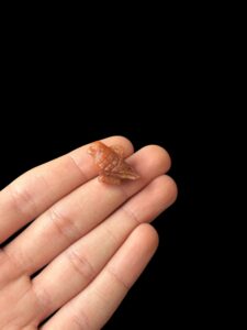 God Horus amulet made of agate stone - Image 1