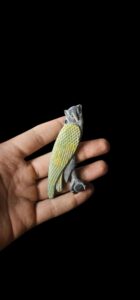 Egyptian Owl Sculpture: Ancient Art Replica, Keen-Sighted Hunter - Image 1