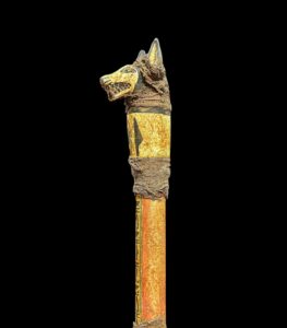 Sceptre staff, Head of Anubis Waz sceptre. Ancient Egyptian waz-scpetre - Image 1