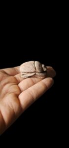 Vintage Scarab Beetle: Egyptian Good Luck Charm - Image 1