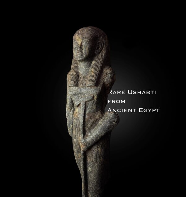 Rare Egyptian Ushabti Statue: Ancient Home Decor