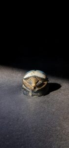 Egyptian Scarab, The decorative Good luck scarab in Ancient Egypt. - Image 2