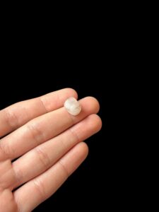 Egyptian Scarab pendant necklace, The decorative Good luck scarab in Ancient Egypt. - Image 2