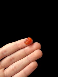 Egyptian Scarab pendant necklace, The decorative Good luck scarab in Ancient Egypt. - Image 2