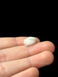 mini Goose Amulet hand carved made in Egypt - Image 2