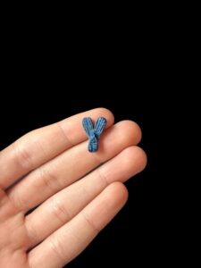 Egyptian Fly Amulet made in Egypt, Fly necklace charm - Image 2