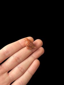 God Horus amulet made of agate stone - Image 2