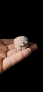 Vintage Scarab Beetle: Egyptian Good Luck Charm - Image 2