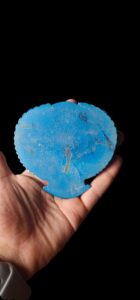 Egyptian Scarab Beetle: Ancient Egypt Good Luck Symbol - Image 2