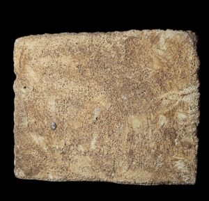 Egyptian God Thoth Statue: God of Wisdom Sculpture - Image 3