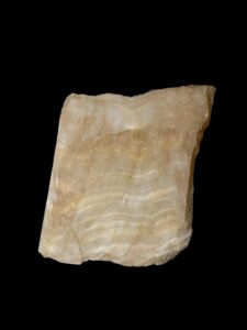 Ancient Egyptian Tree of Life Wall Relief: Living Room Art - Image 3