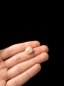 Egyptian Scarab pendant necklace, The decorative Good luck scarab in Ancient Egypt. - Image 3