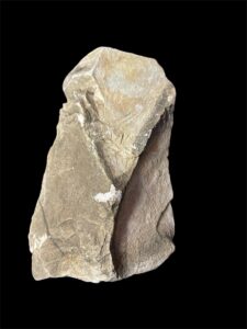 Stone Egyptian God Horus Statue - Falcon God of the Sky - Image 3