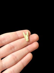 hand carving Egyptian Fly Amulet made in Egypt, Fly necklace charm - Image 3