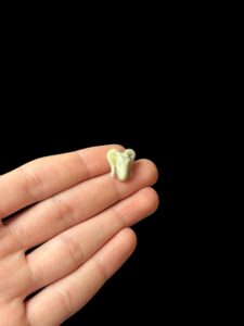 God Khnum amulet. Ram amulet. - Image 3