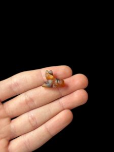 schist Bastet Cat Amulet, Egyptian Goddess Pendant - Image 3