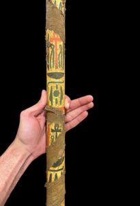Sceptre staff, Head of Sekhmet Waz sceptre. Ancient Egyptian waz-scpetre - Image 3