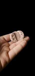 Vintage Scarab Beetle: Egyptian Good Luck Charm - Image 3