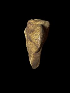 vulture Nekhbet Head made of stone. Hand carving. - Image 3