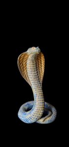 Ancient Egyptian Uraeus cobra statue, snake gifts for Snakes lovers - Image 3
