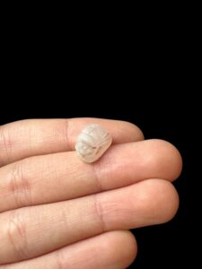 Egyptian Scarab pendant necklace, The decorative Good luck scarab in Ancient Egypt. - Image 4