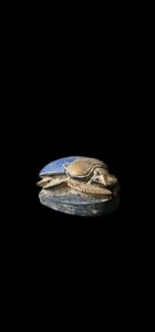 Egyptian Scarab, The decorative Good luck scarab in Ancient Egypt. - Image 4
