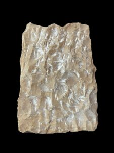 Vintage Egyptian Relief: Beloved Girl of God Ptah, Saqqara Temple - Image 4