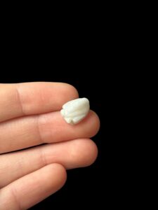 mini Goose Amulet hand carved made in Egypt - Image 5