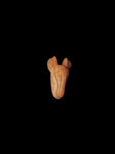 Handcrafted God Seth Amulet: Egyptian God of Chaos Statuette - Image 5