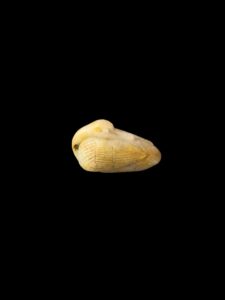 Carved Egyptian Duck Amulet: Hieroglyphic Carving - Image 5