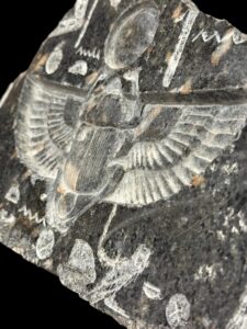 Egyptian Scarab beetle relief made of Natural Granite stone. - Image 5