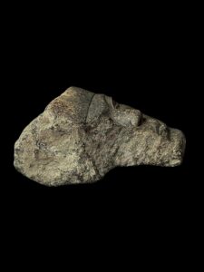 head of King Senusret III made of Rare stone - Image 5