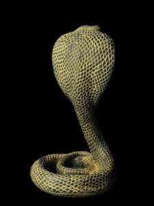 Ancient Egyptian Uraeus cobra statue, snake gifts for Snakes lovers - Image 6