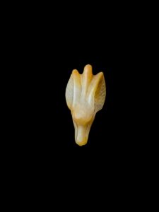 Egyptian God Anubis Pendant Necklace - Jackal Charm - Image 6