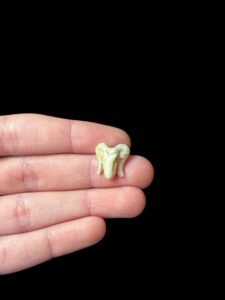 God Khnum amulet. Ram amulet. - Image 7