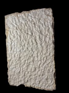 The Narmer Palette, the Great Hierakonpolis Palette / the Palette of Narmer - Image 7