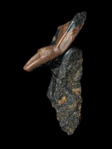 Handcrafted God Seth Statue: Authentic Egyptian Decor - Image 9