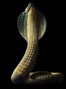 Ancient Egyptian Uraeus cobra statue, snake gifts for Snakes lovers - Image 10